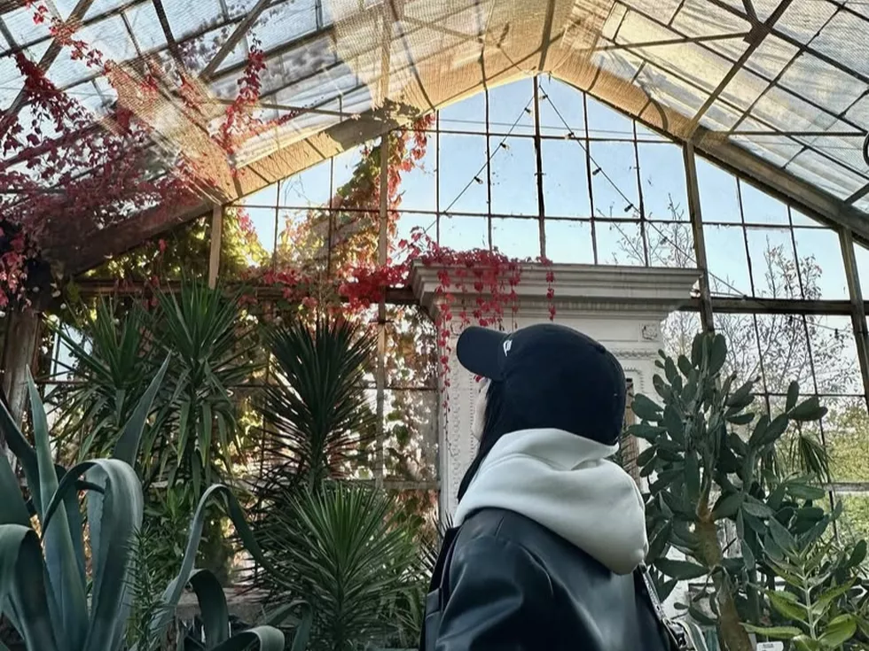 travel program image
