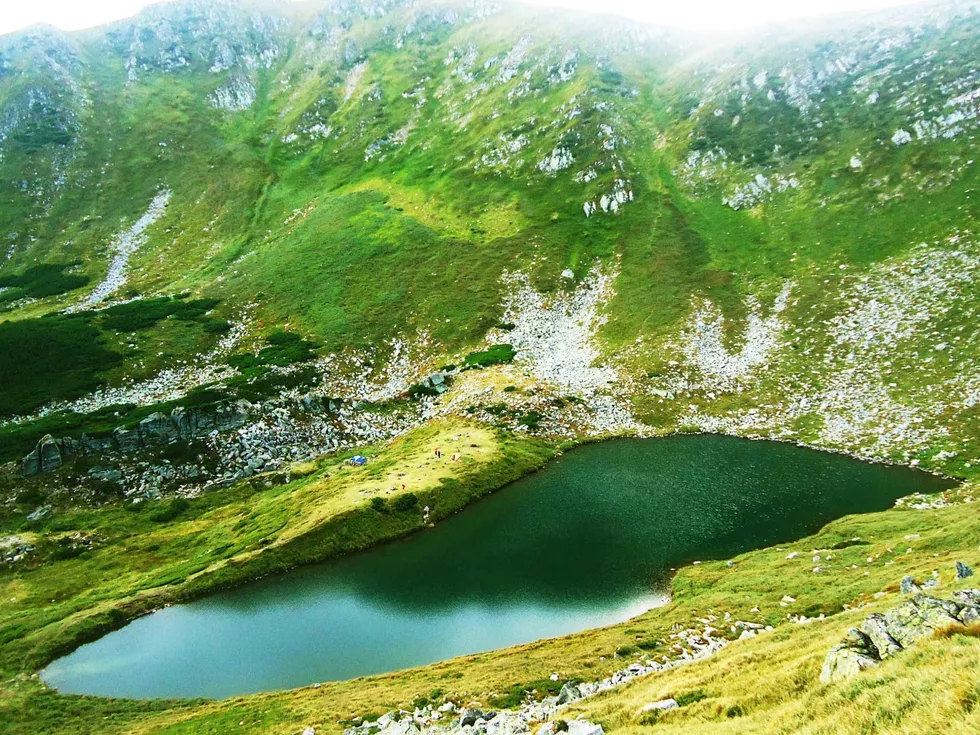 travel program image