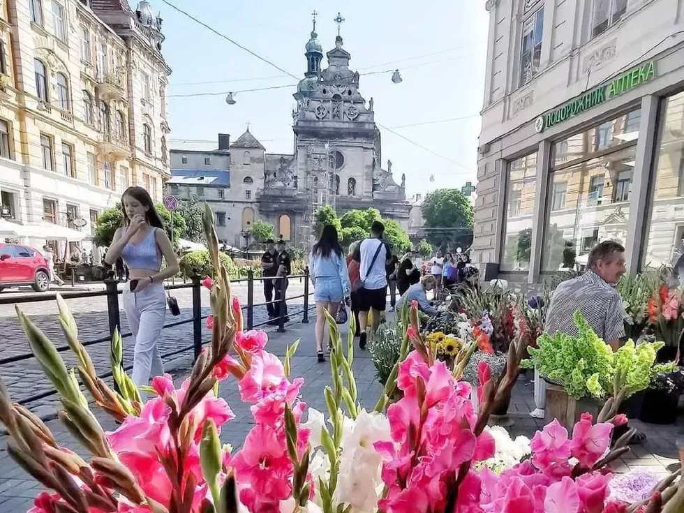 travel program image