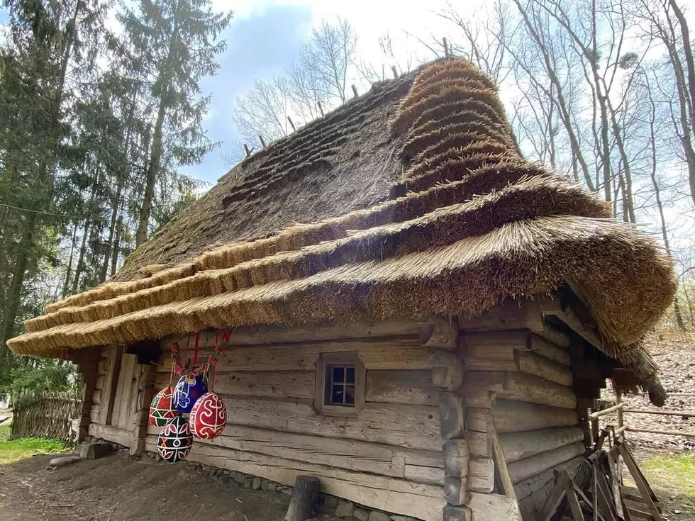 travel program image
