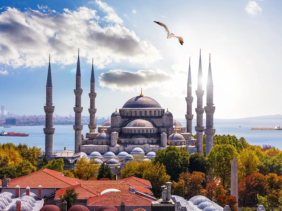 travel program image
