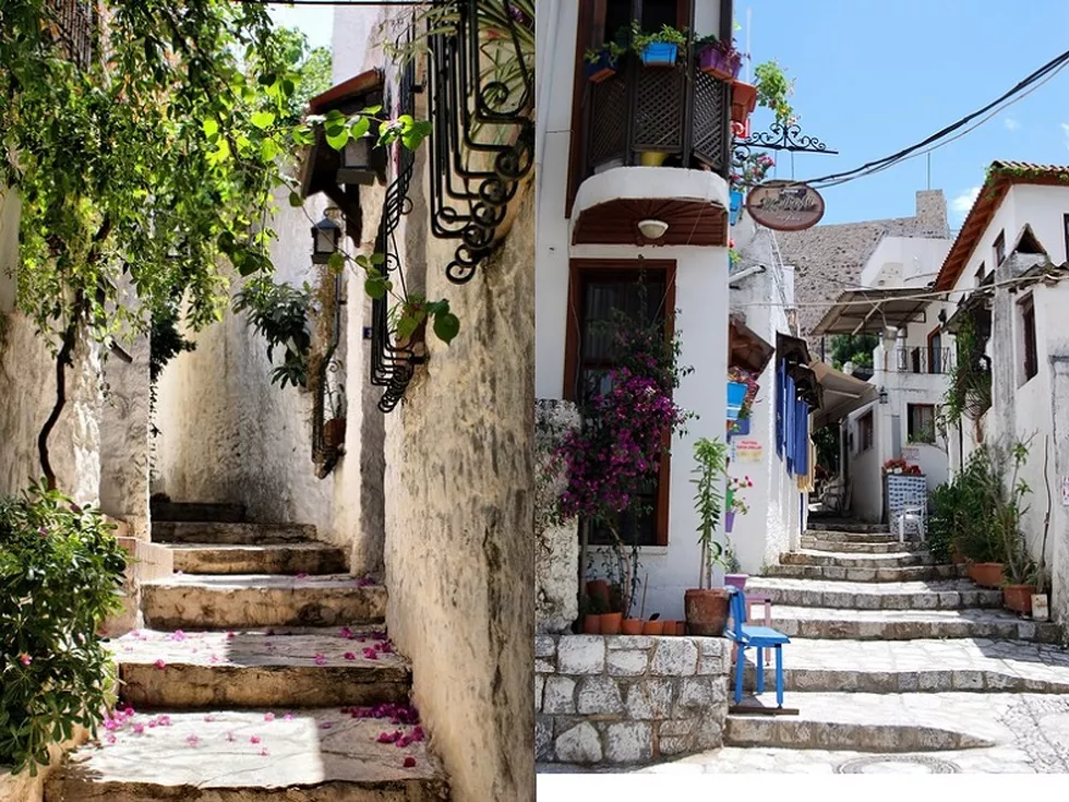 travel program image