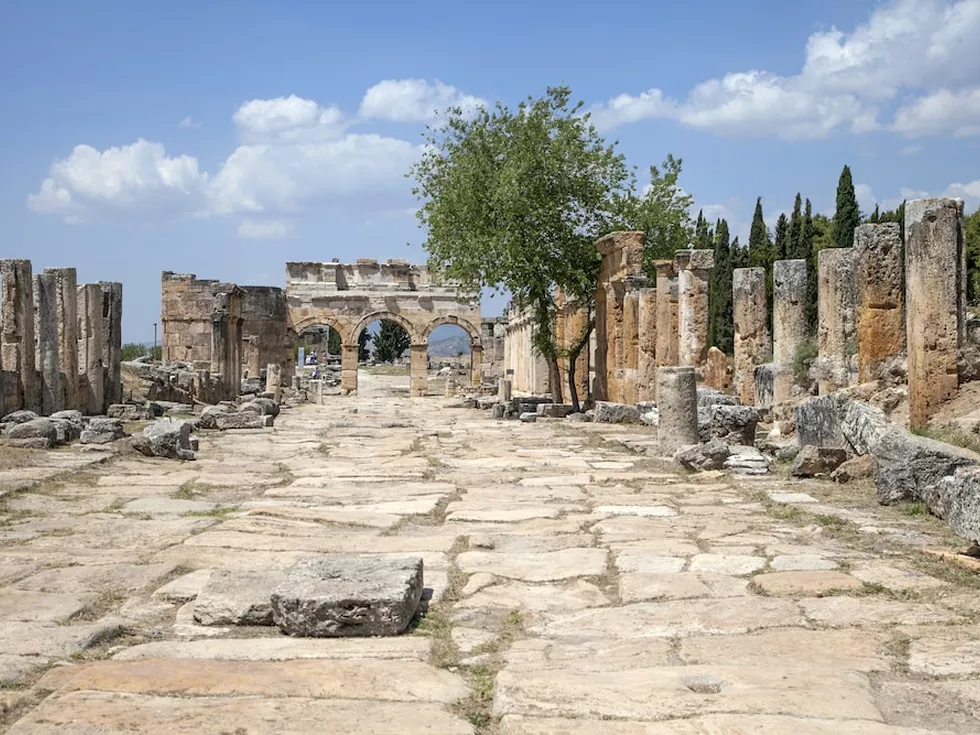 travel program image