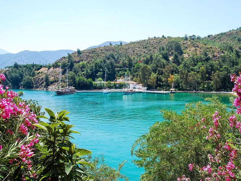 travel program image