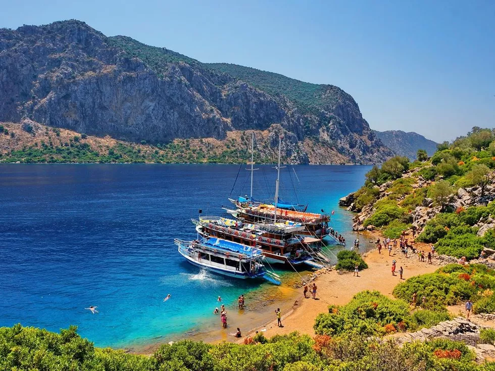 travel program image