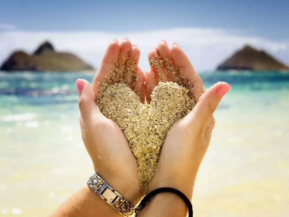 travel program image