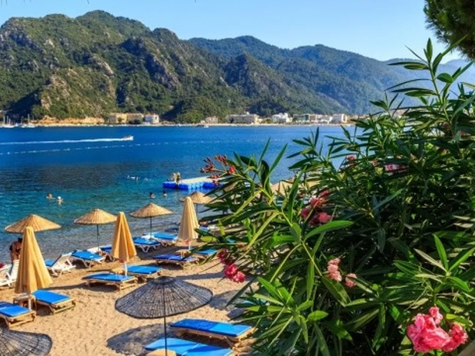 travel program image