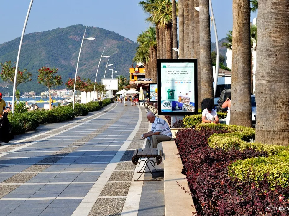 travel program image
