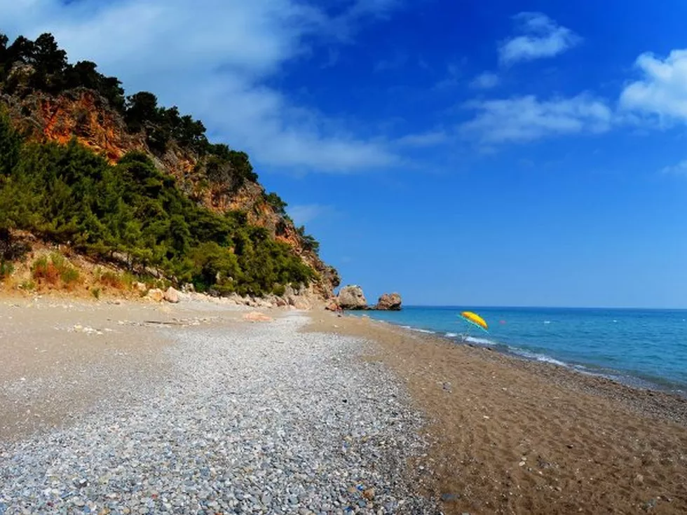 travel program image