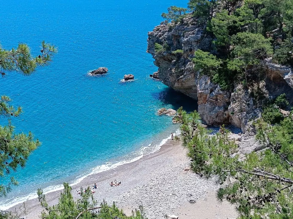 travel program image