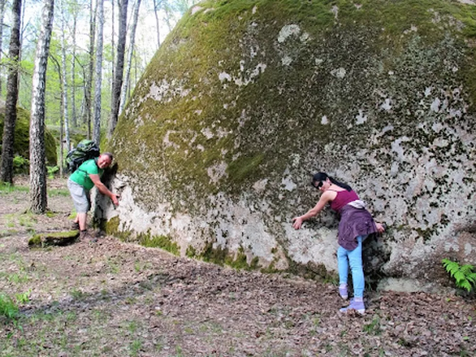 travel program image