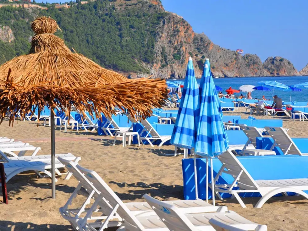 travel program image