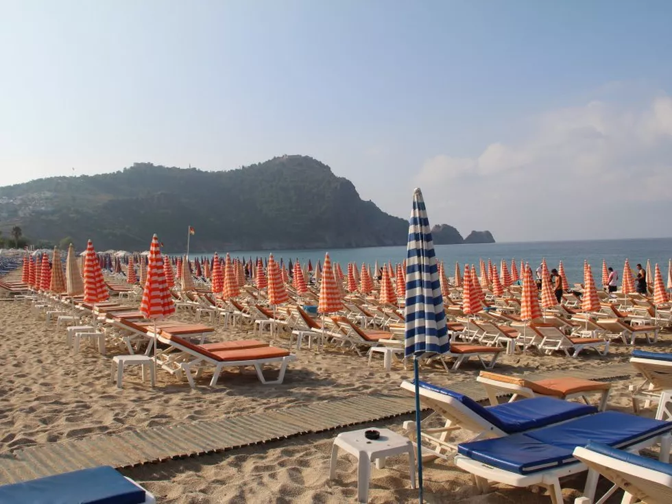 travel program image