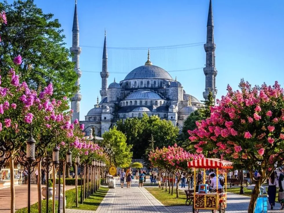 travel program image
