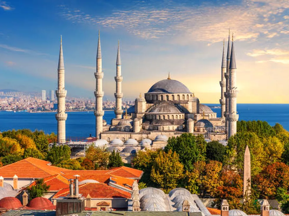 travel program image