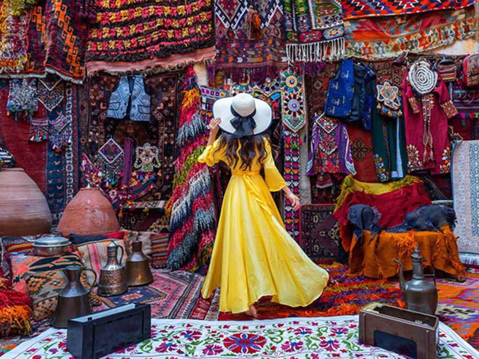 travel program image