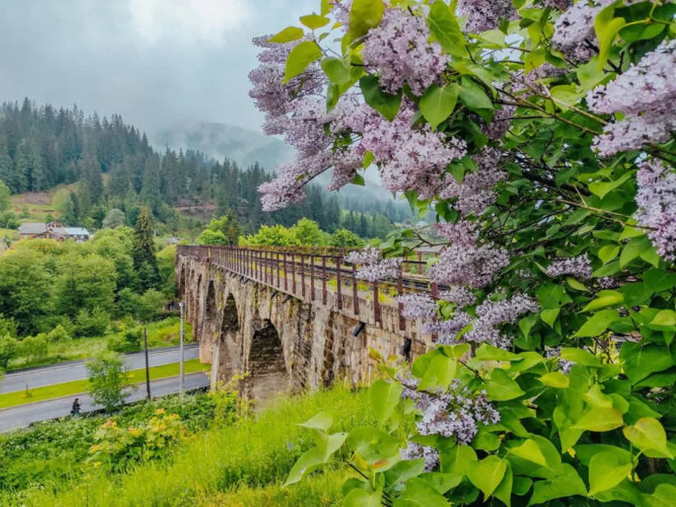 travel program image