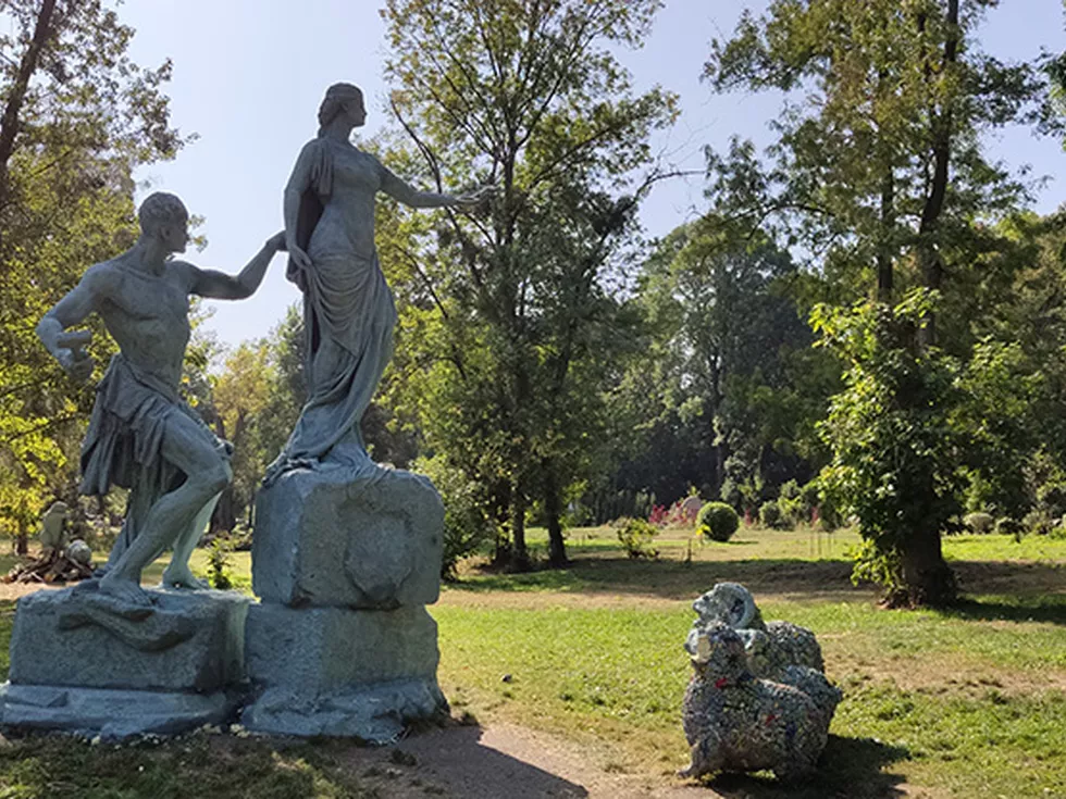 travel program image