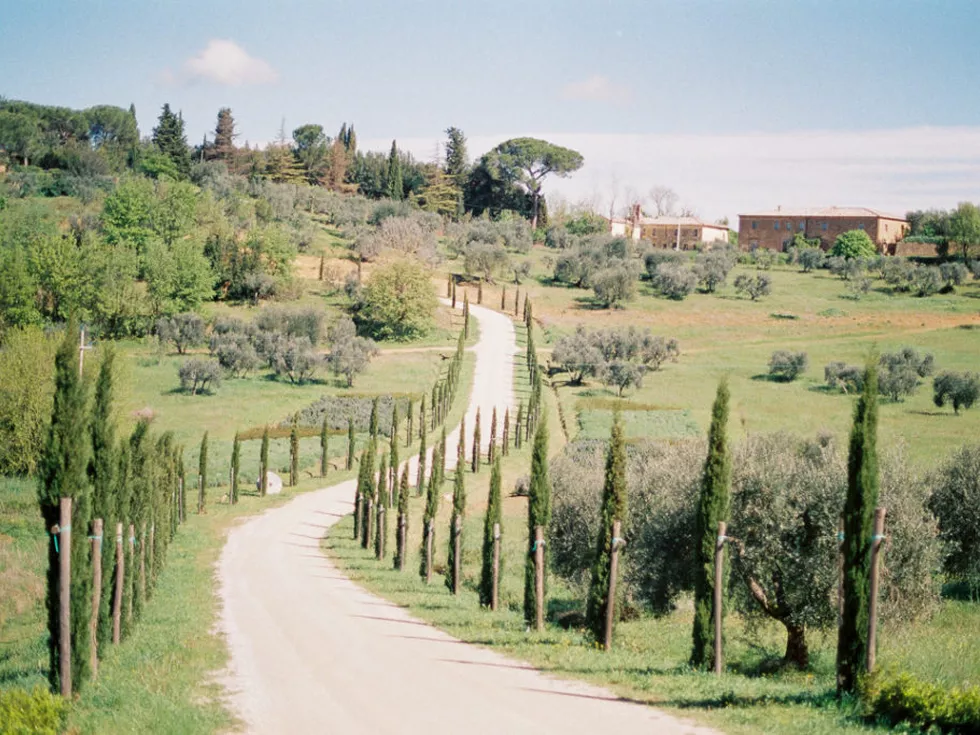 travel program image