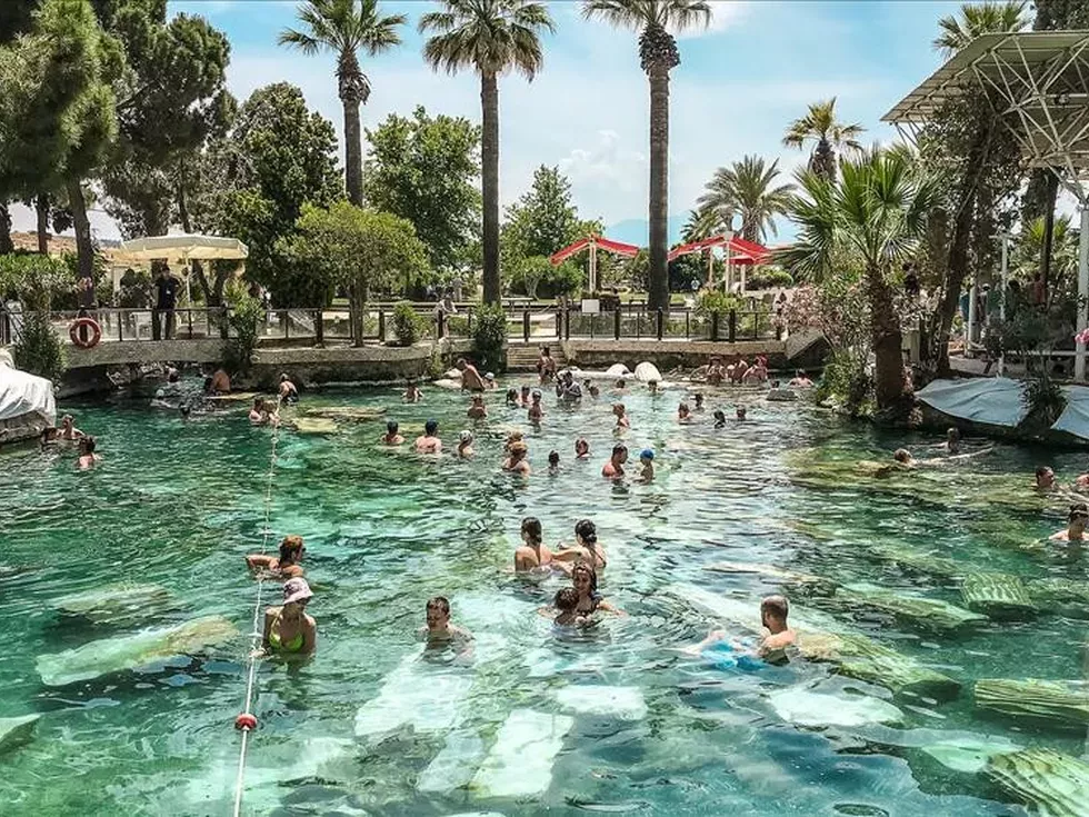 travel program image