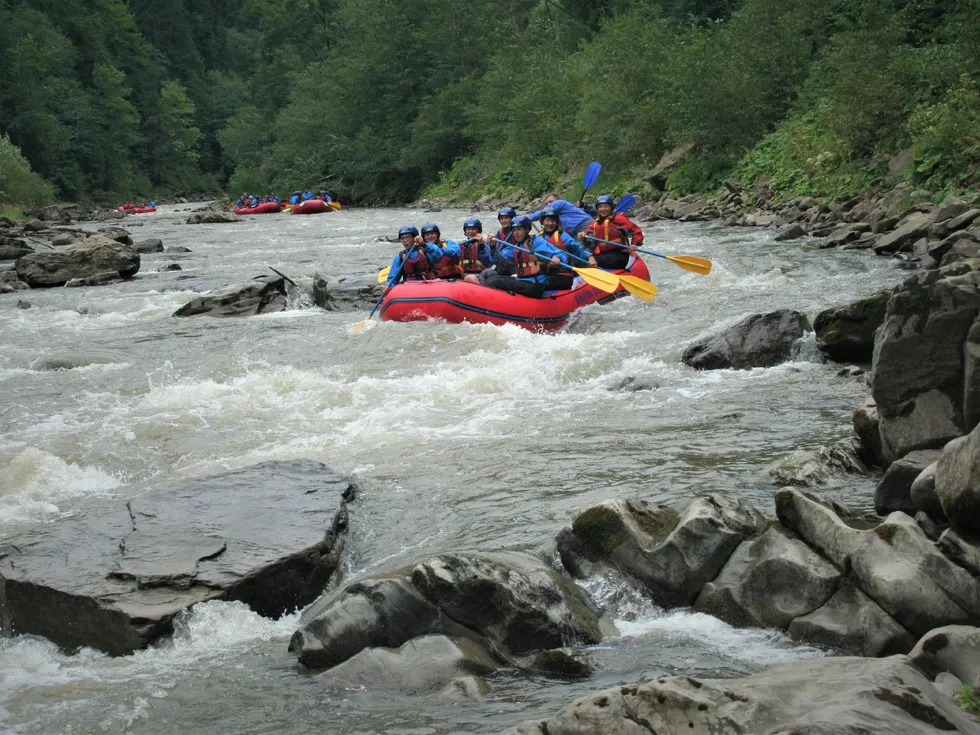 travel program image