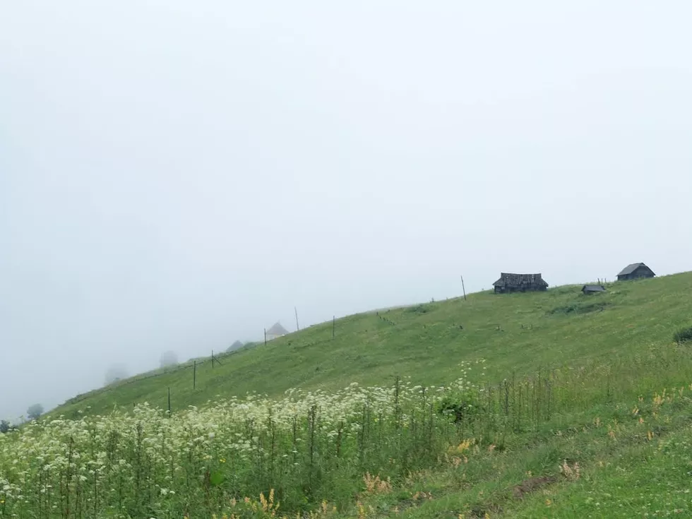 travel program image
