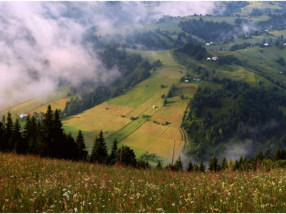 travel program image
