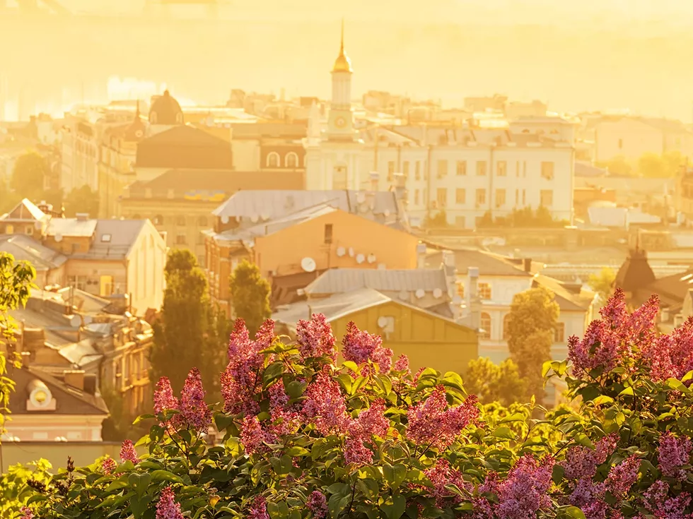 travel program image