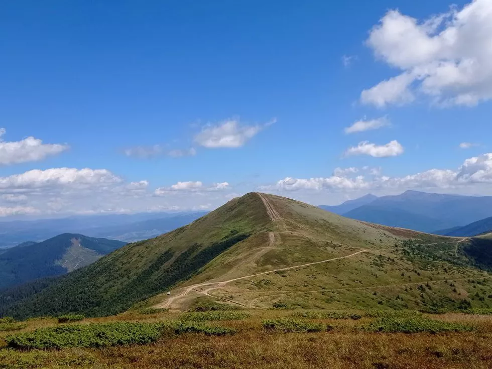 travel program image