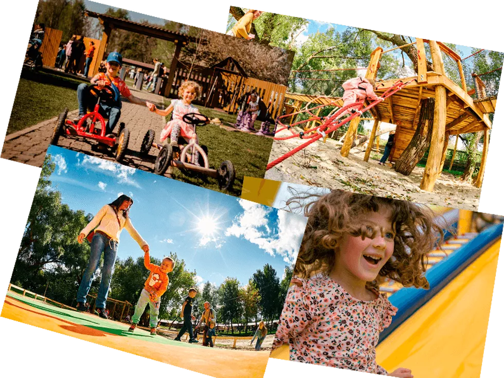 travel program image
