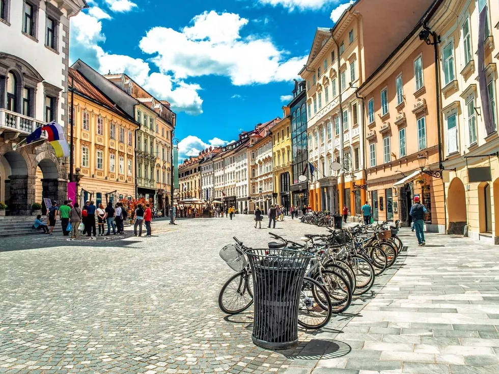 travel program image