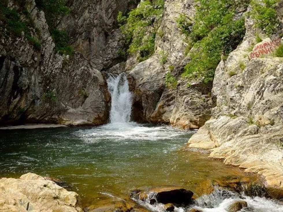 travel program image