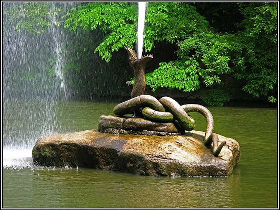 travel program image