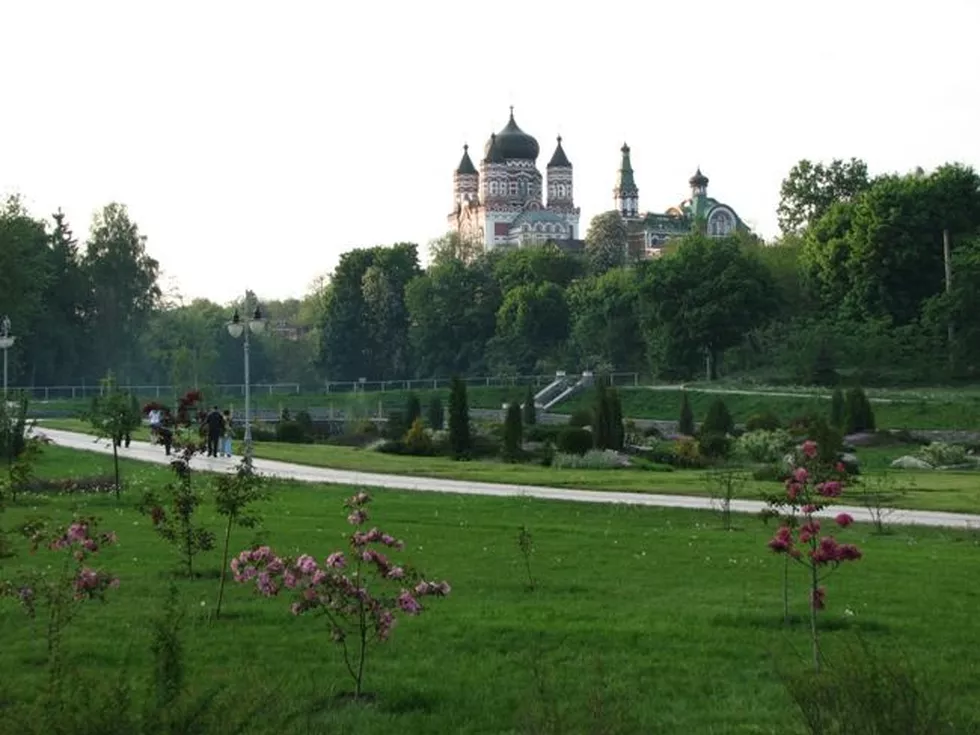 travel program image