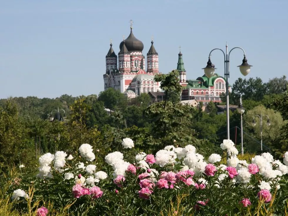 travel program image