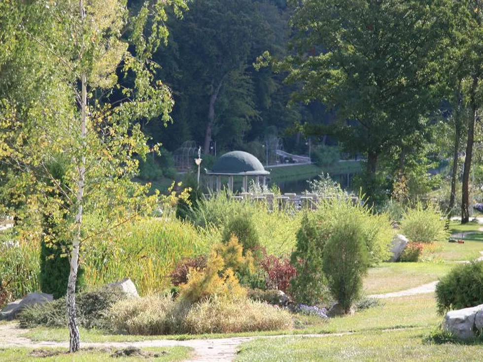 travel program image