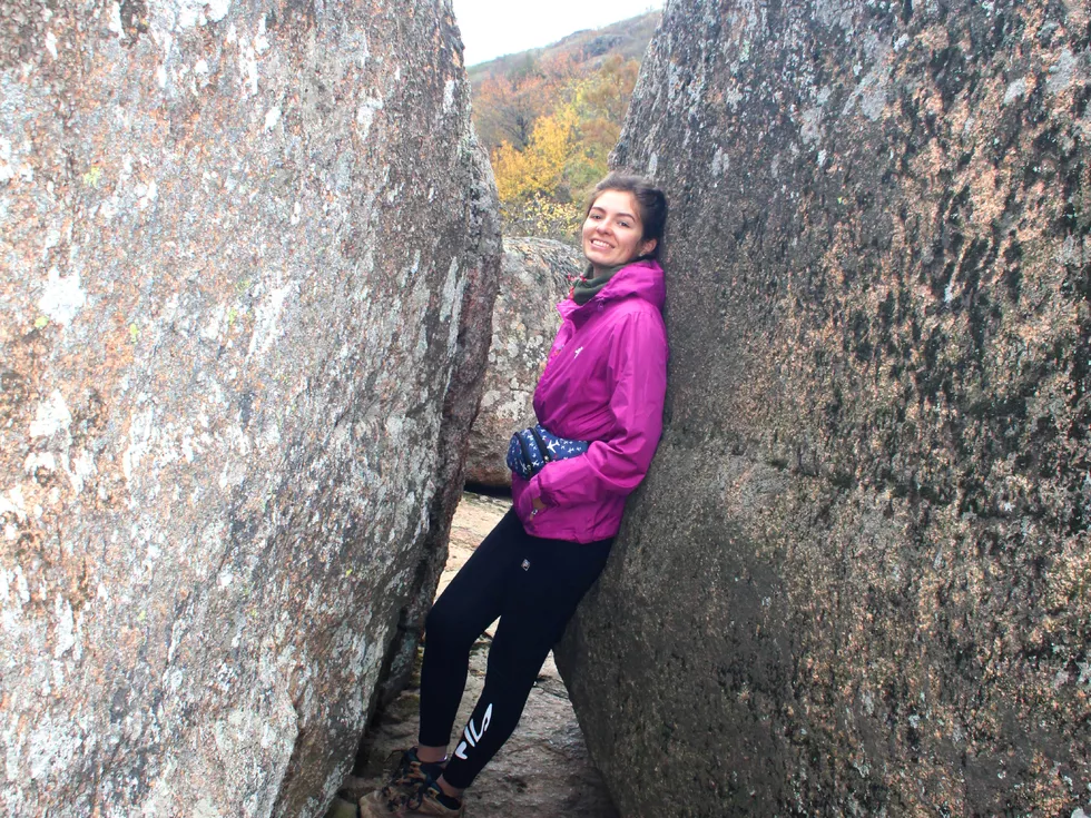 travel program image