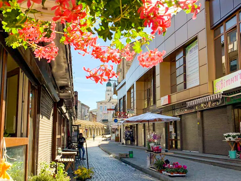 travel program image