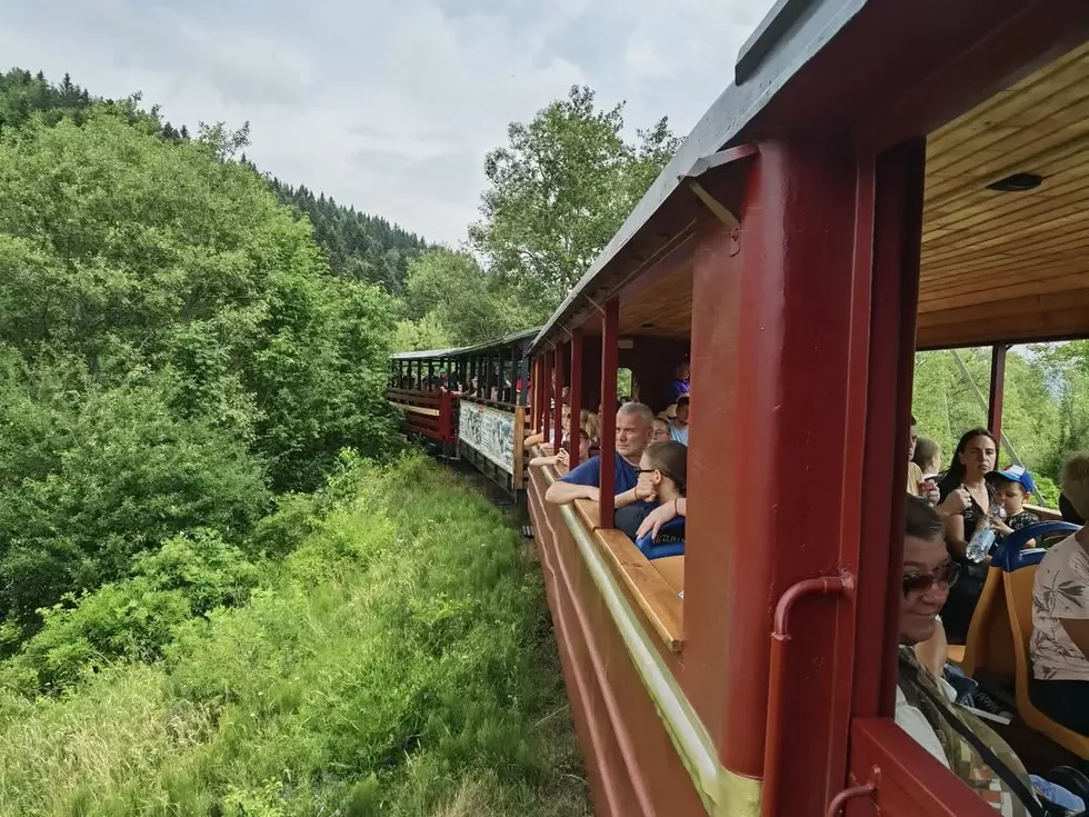 travel program image