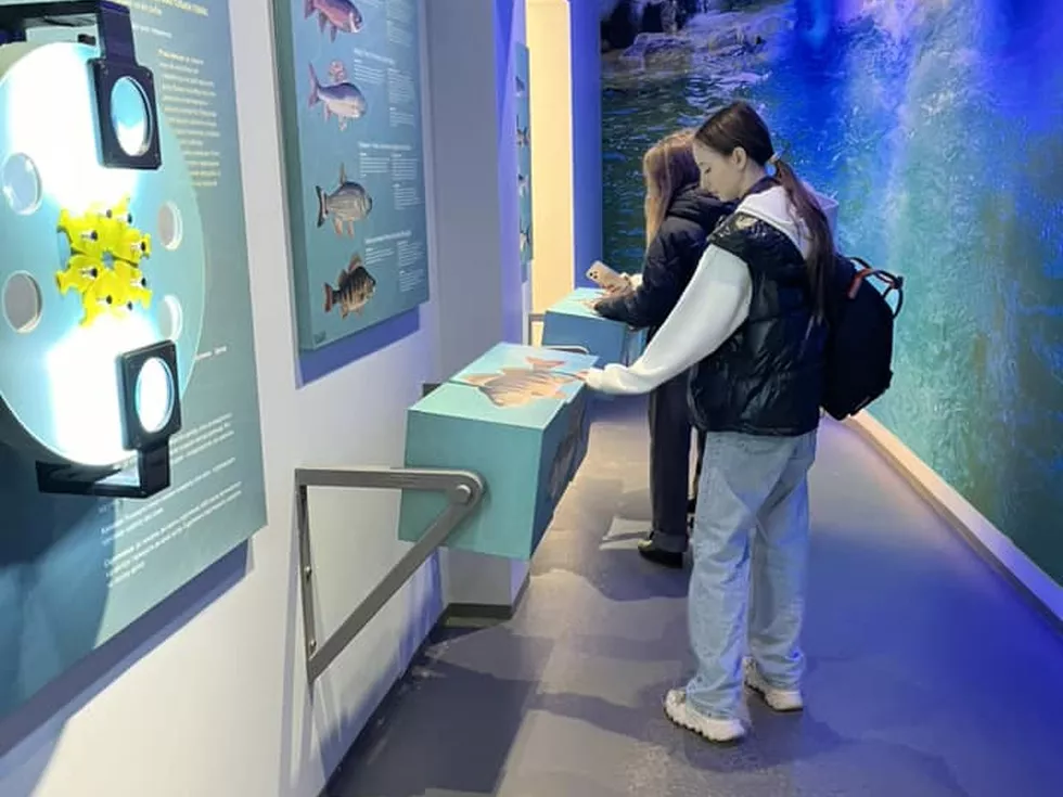 travel program image