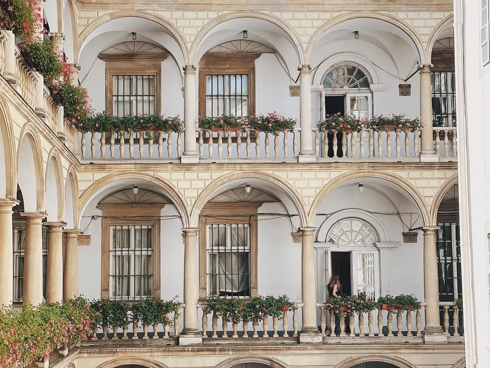travel program image