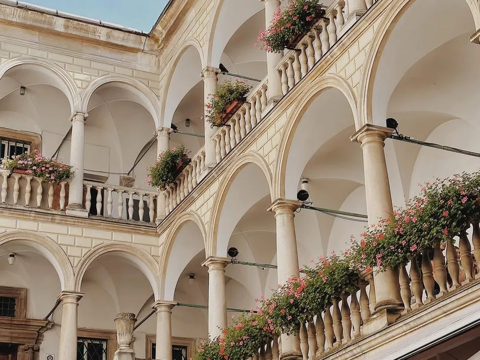travel program image