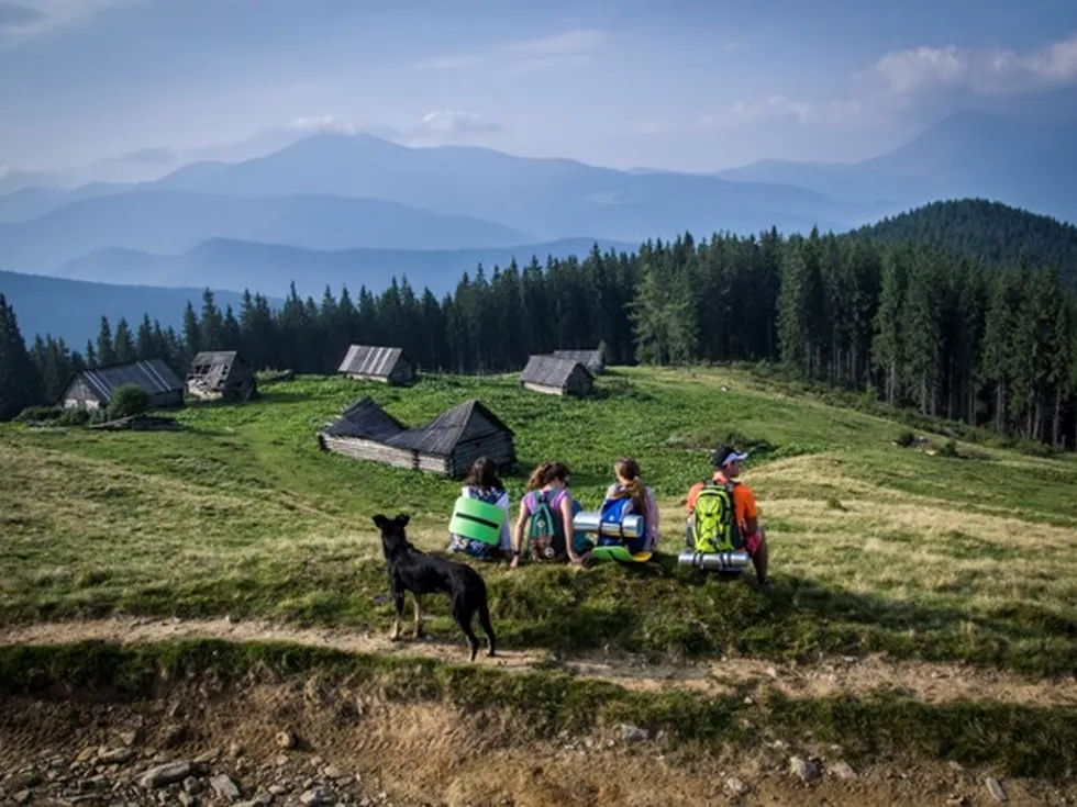 travel program image