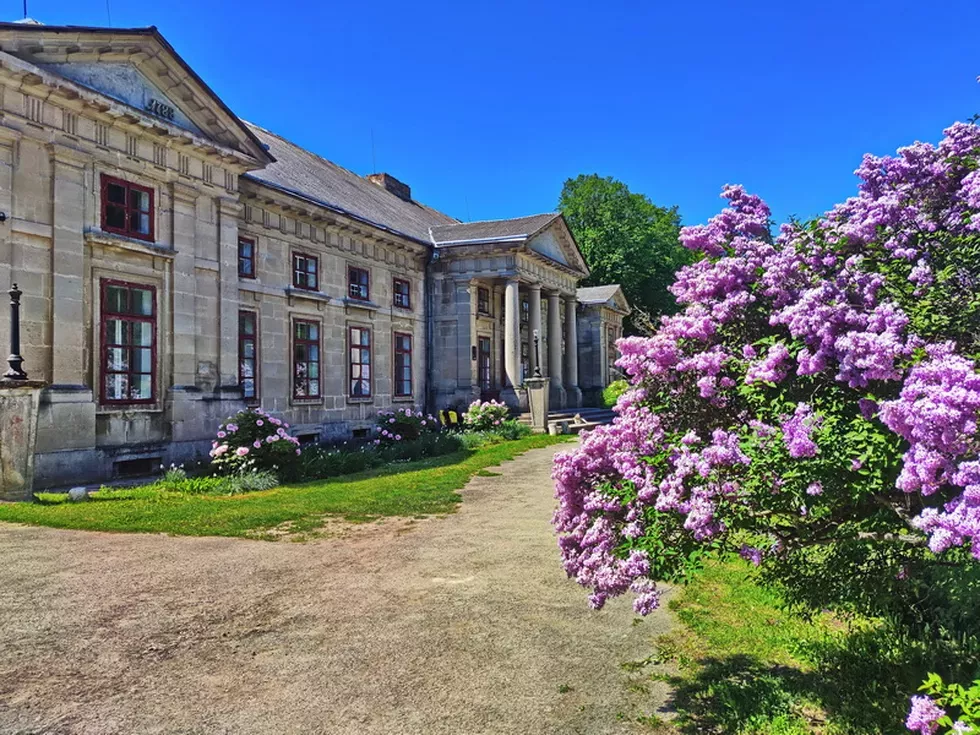 travel program image