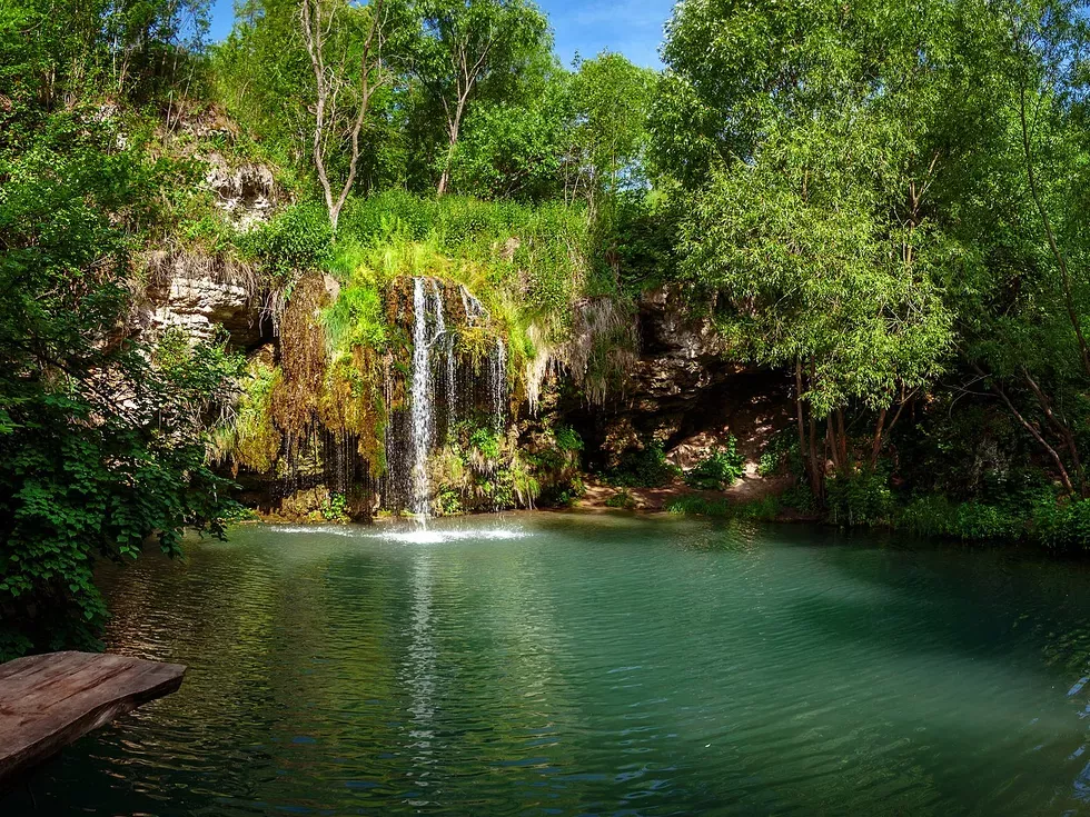travel program image