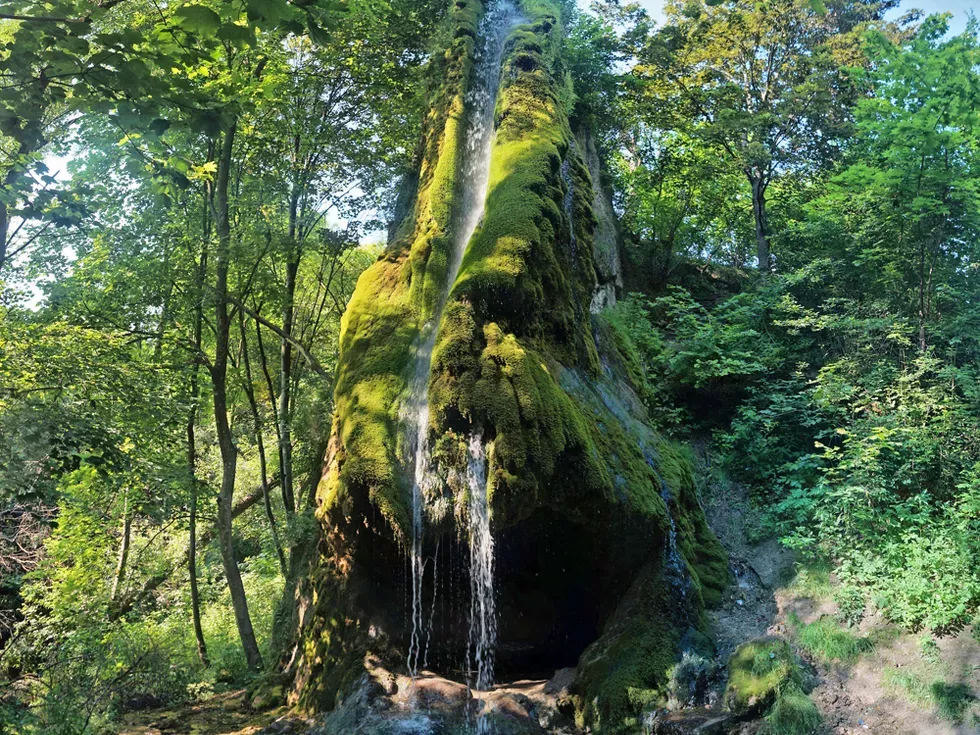 travel program image