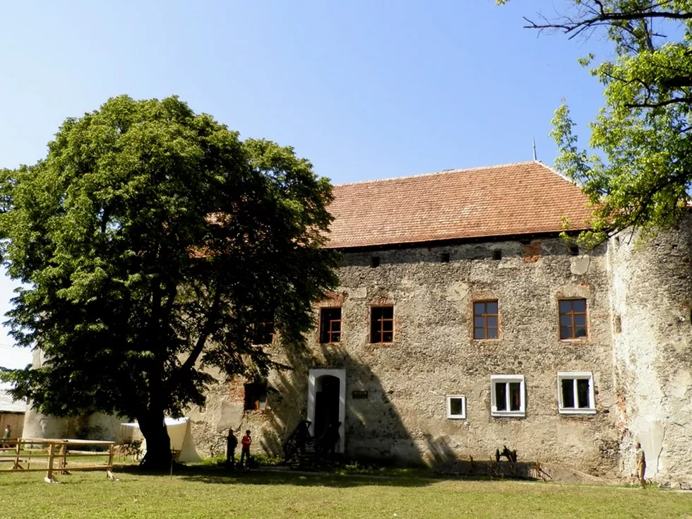 travel program image