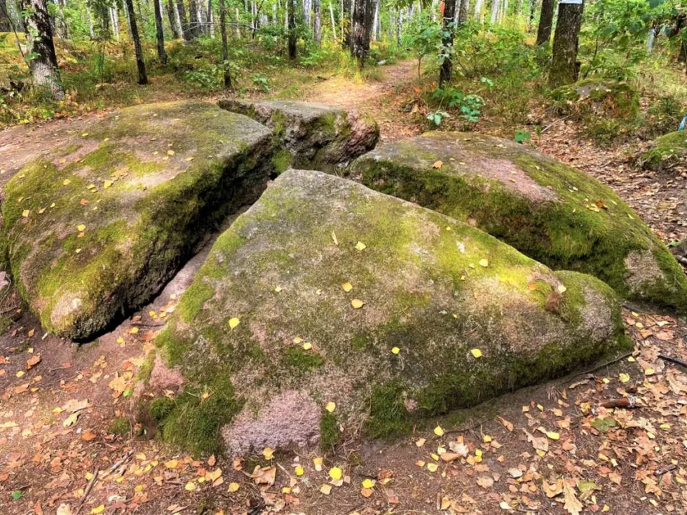 travel program image