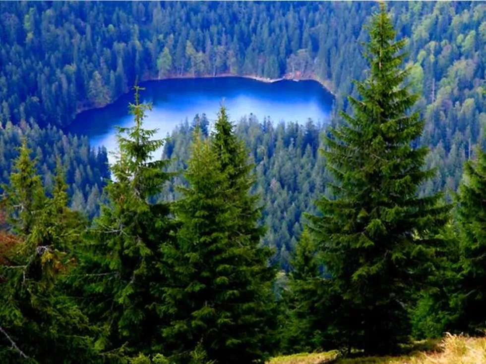 travel program image