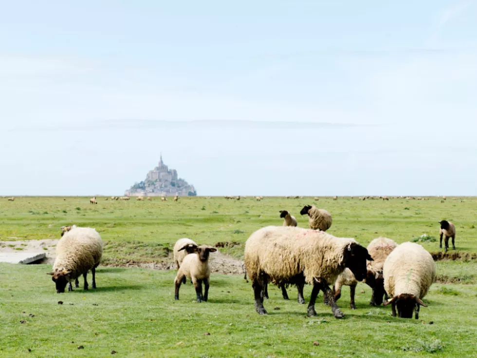 travel program image